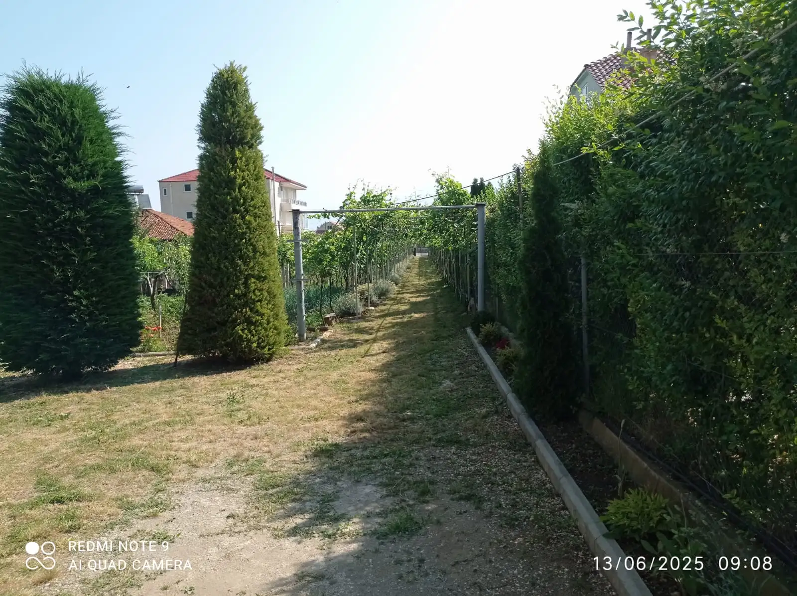 img_id_493119.42.15 (2).webp